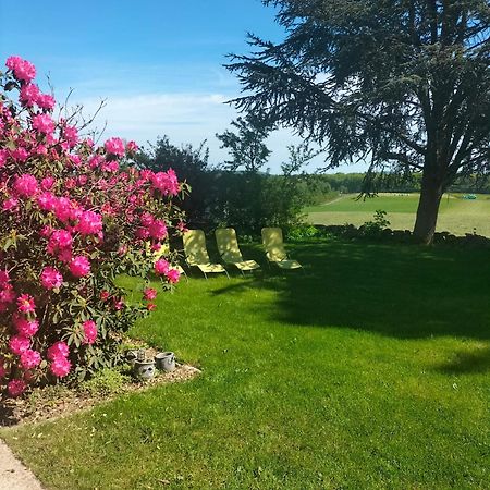 Gite Belle Fleur 6 Personnes- Vosges Saint-Nabord Exterior foto