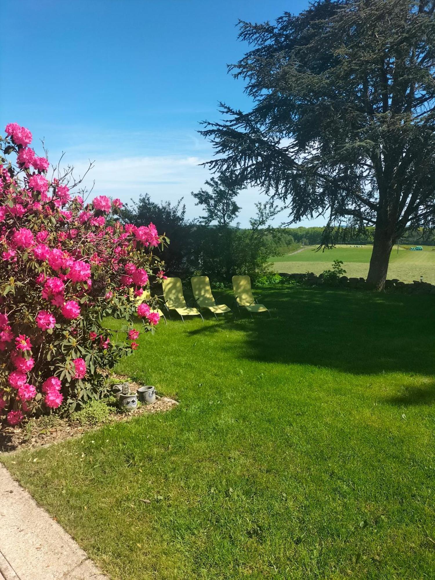 Gite Belle Fleur 6 Personnes- Vosges Saint-Nabord Exterior foto